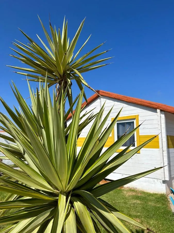 La Pinza Bl Am Apartment El Palmar